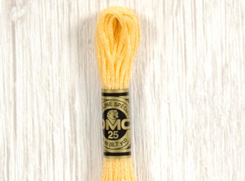 DMC stranded cotton embroidery thread - 19-Cloud Craft