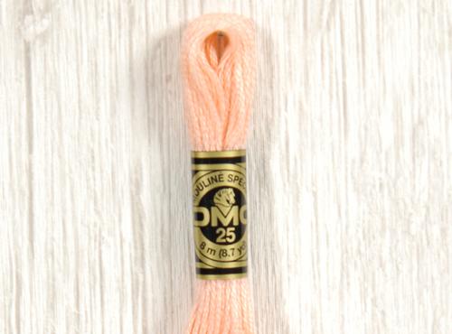 DMC stranded cotton embroidery thread - 20-Cloud Craft