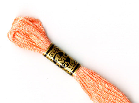 DMC stranded cotton embroidery thread - 3824-Cloud Craft
