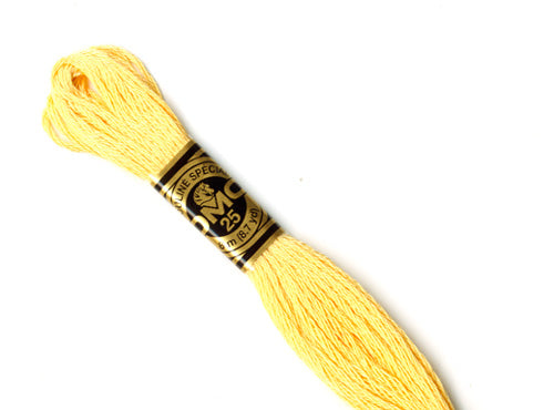 DMC stranded cotton embroidery thread - 3855-Cloud Craft