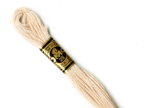 DMC stranded cotton embroidery thread - 543-Cloud Craft